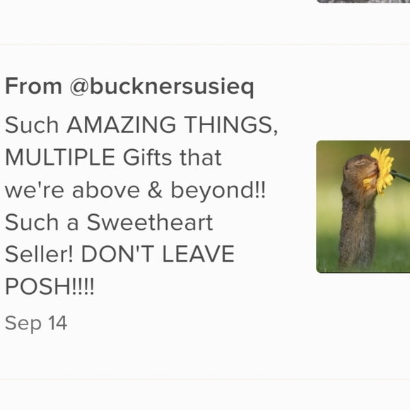 Everybody WINS!! - Picture 4 of 16